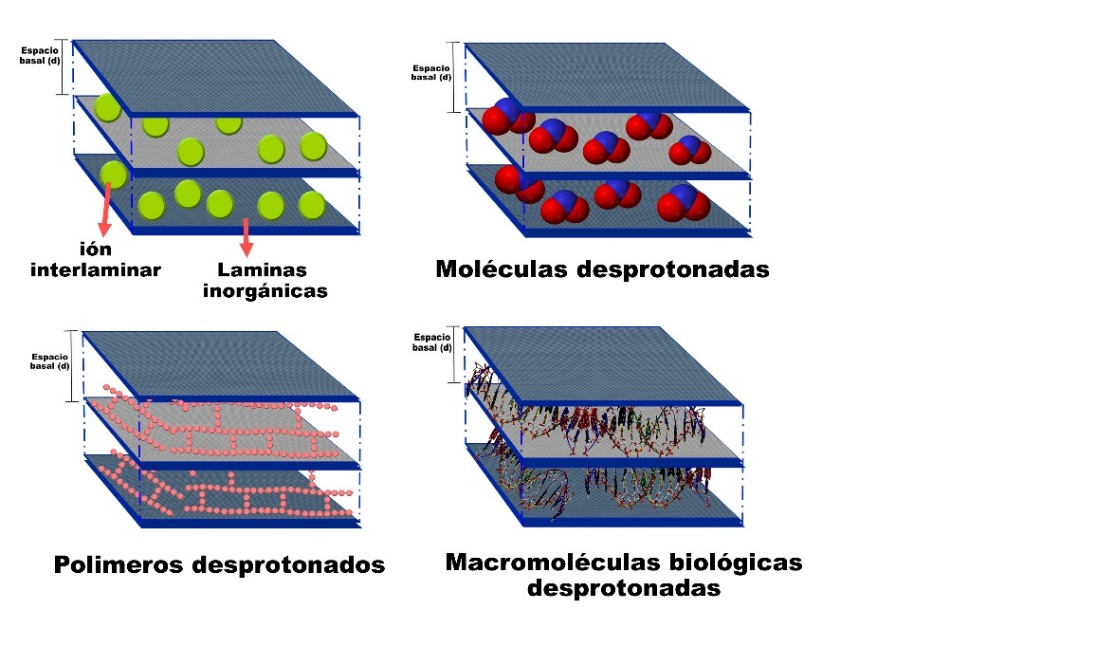 Figura 5