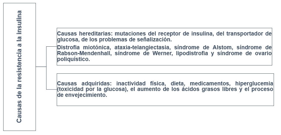 Diagrama 1